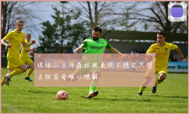 媒体人点评森林狼表现不稳定只想击败芬奇难以理解