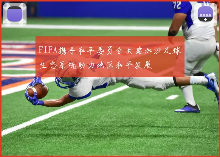 FIFA携手和平委员会共建加沙足球生态系统助力地区和平发展